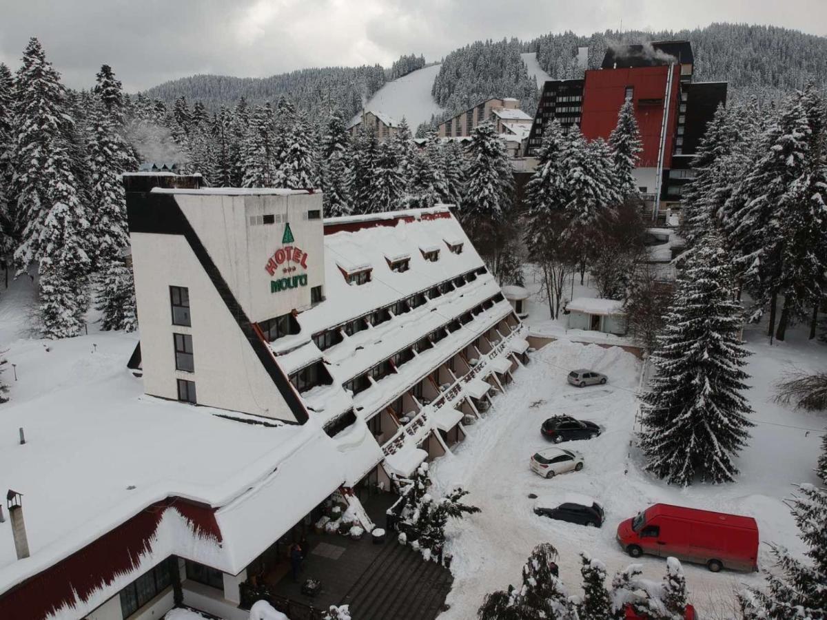 Moura & Villas Borovets Mountain Relax Spa Hotel Eksteriør billede